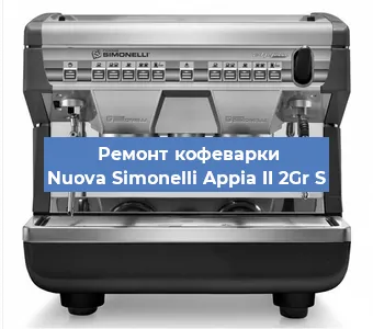 Ремонт капучинатора на кофемашине Nuova Simonelli Appia II 2Gr S в Ижевске